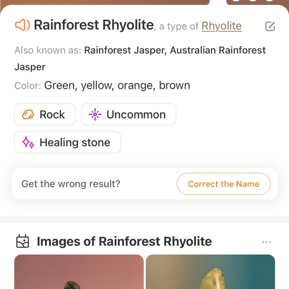 Rainforest Rhyolite earrings. Attracts positive change and connection to earth. - Picture 6 of 8